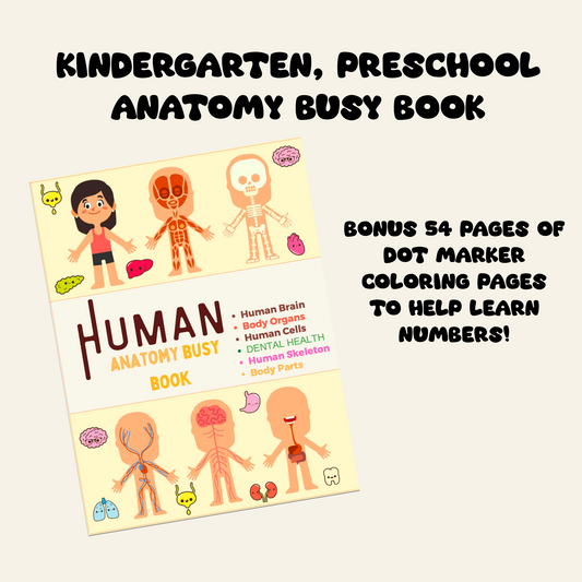 Human Anatomy Busy Book | Printable Preschool Worksheets, Homeschool Resources, Instant Digital PDF Download