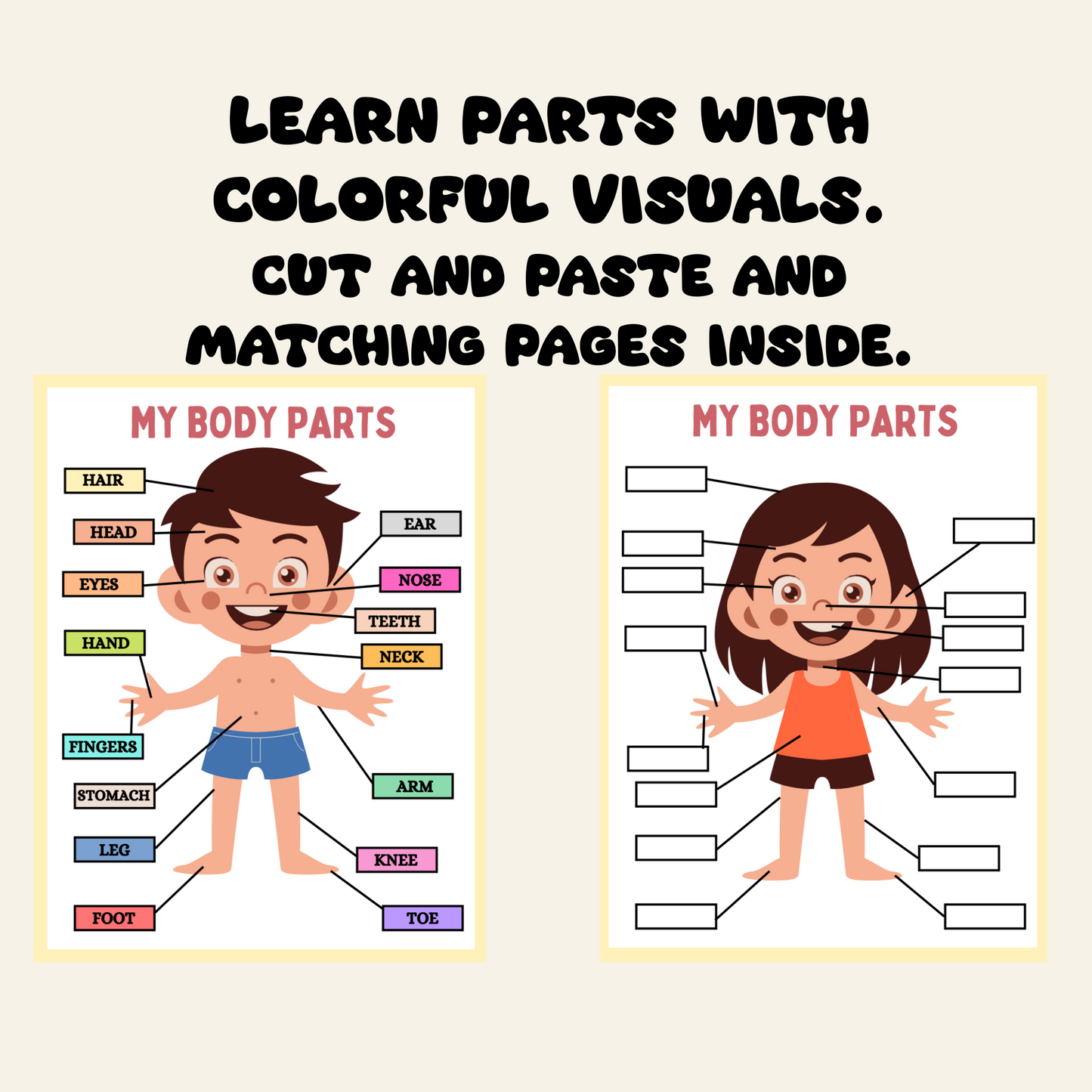 Human Anatomy Busy Book | Printable Preschool Worksheets, Homeschool Resources, Instant Digital PDF Download