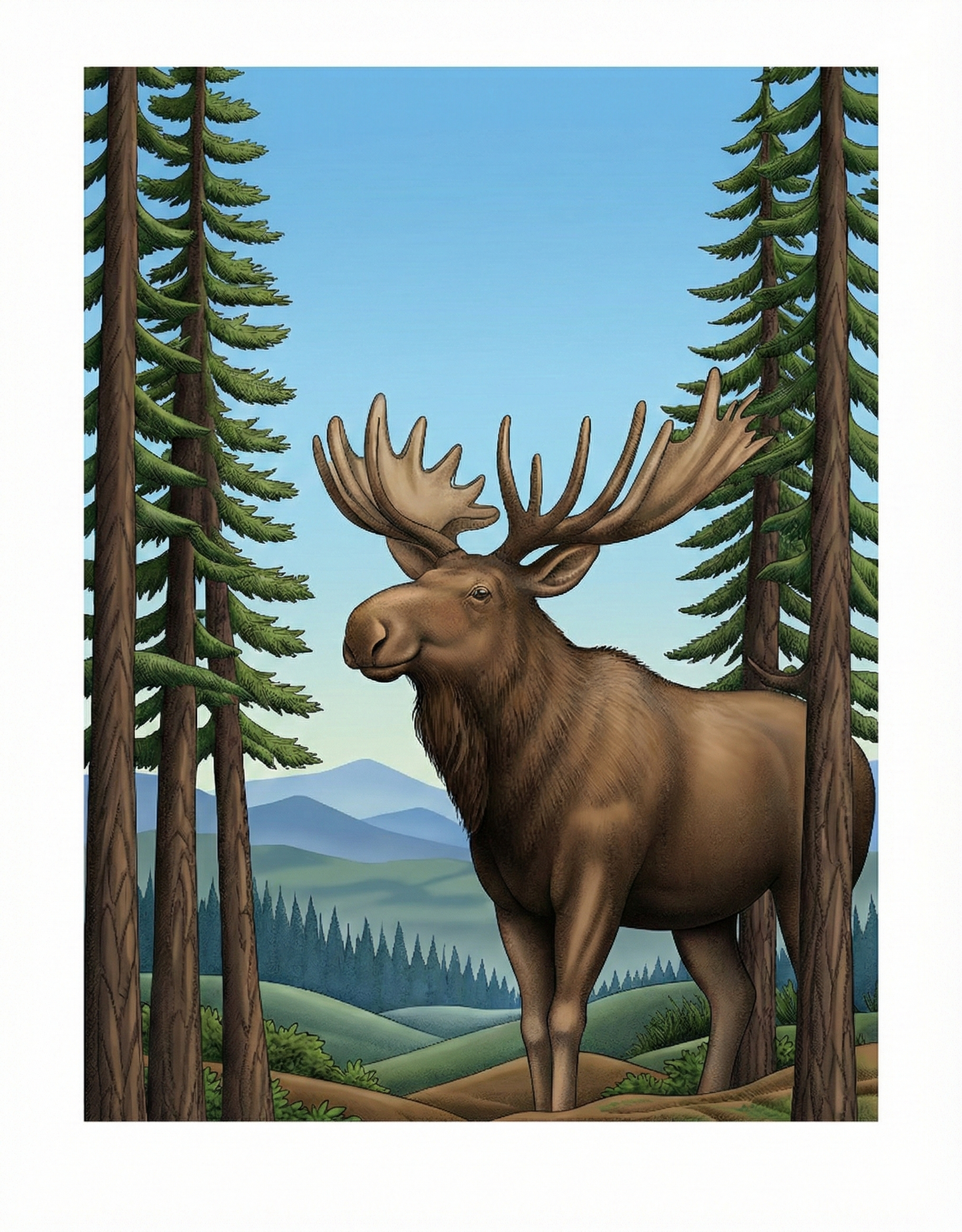 Majestic Woodland Creatures Coloring Book, PDF Version