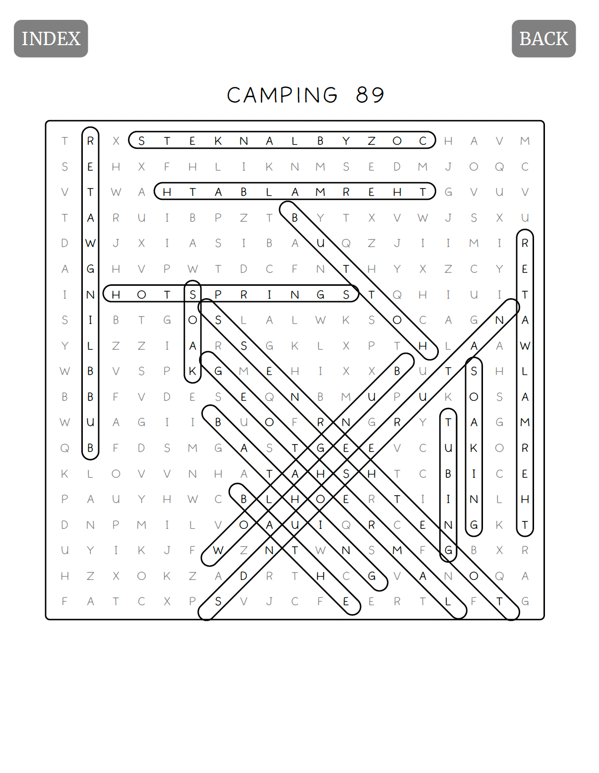 Camping Word Search for Adults, 100 Puzzles for Camping and Puzzle Lovers