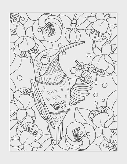 Graceful Hummingbirds in Bloom: 30 Hand-Drawn Large Coloring Pages of Landscapes and Birds