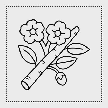 100 Bold Easy Adorable Garden Coloring Book: Simple, Easy, and Large Print